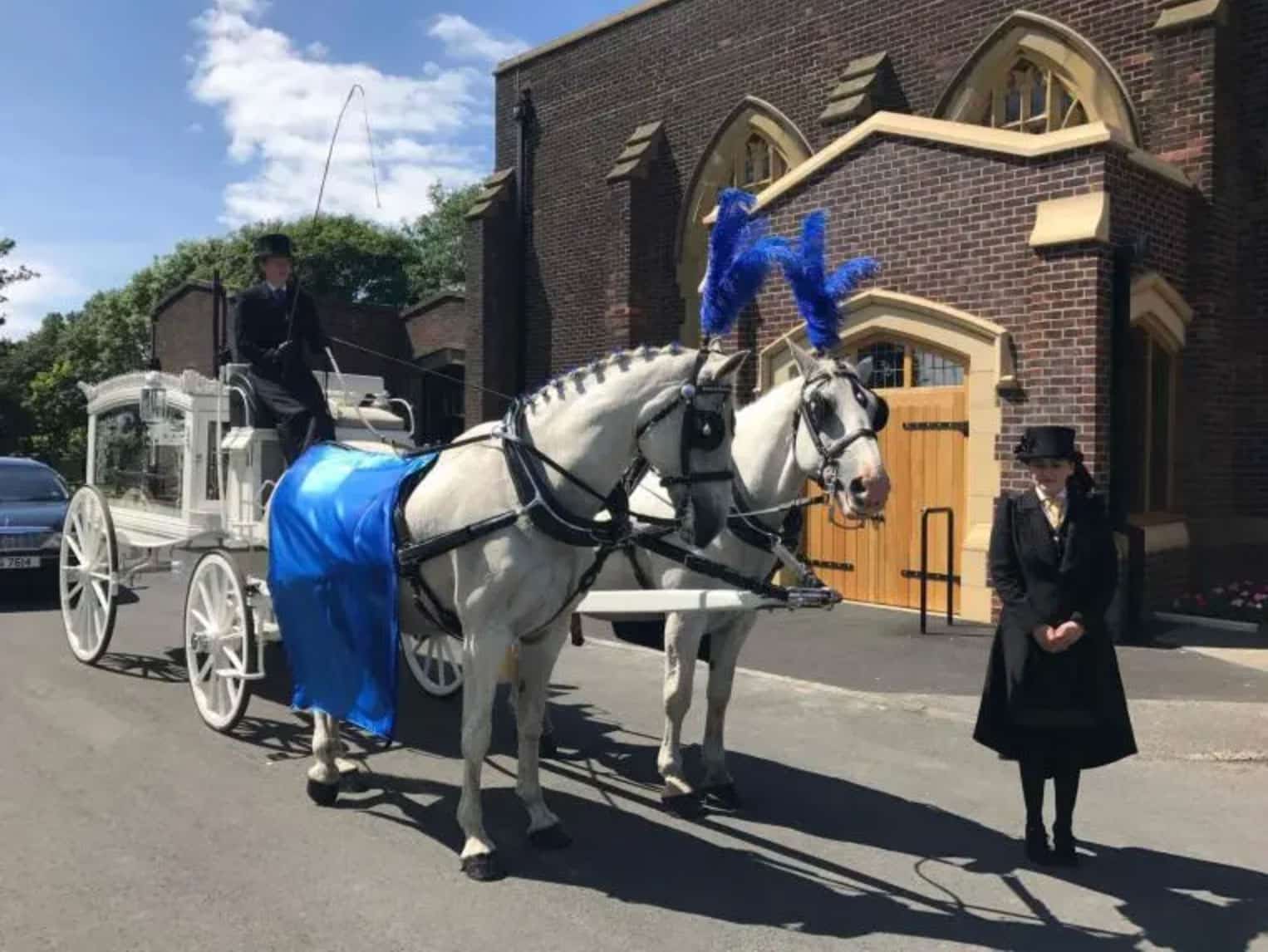 horse for funeral