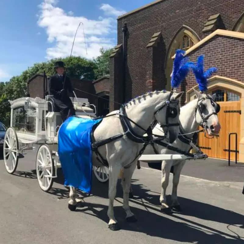horse hearse for funeral