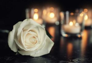 white flower